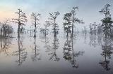 Foggy Lake Martin_45787